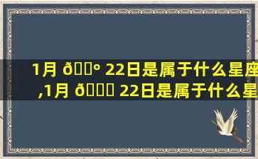 1月 🐺 22日是属于什么星座,1月 🐋 22日是属于什么星座的人